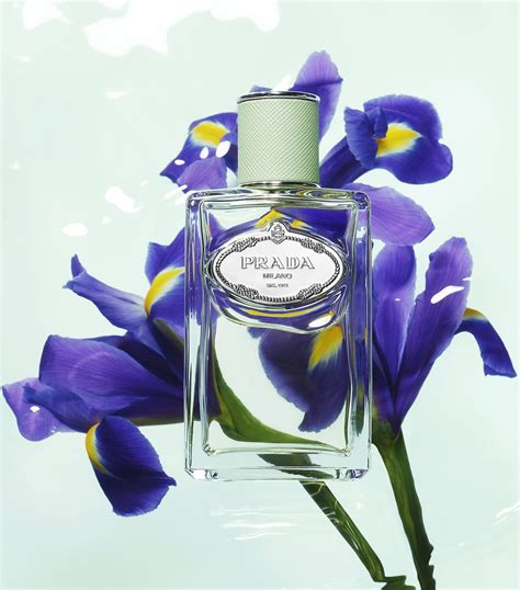 prada infusion d'iris price.